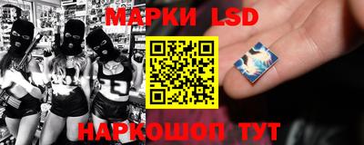 молекула духа Кингисепп