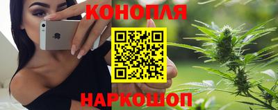 молекула духа Кингисепп