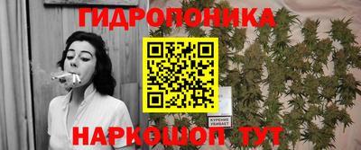 молекула духа Кингисепп