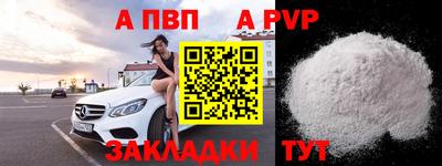 молекула духа Кингисепп
