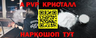 молекула духа Кингисепп