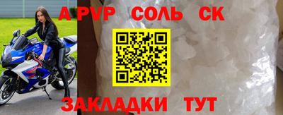 молекула духа Кингисепп