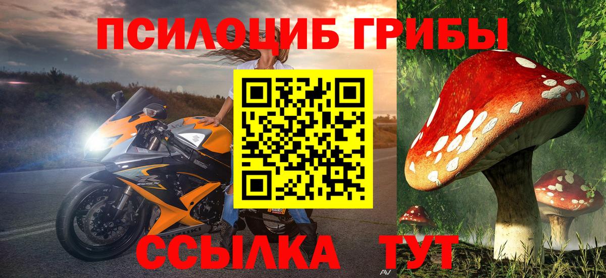 Галлюциногенные грибы Psilocybe  Вход с VPN  Кувандык  Псилоцибиновые грибы мицелий 
